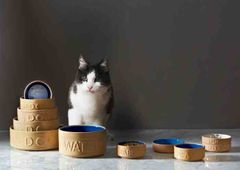 Mason Cash Miska pro kočky, 13 cm, béžovo-modrá - PetWare / Mason Cash