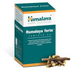 Himalaya Himalaya Rumalaya Forte 60 tablet BI5661