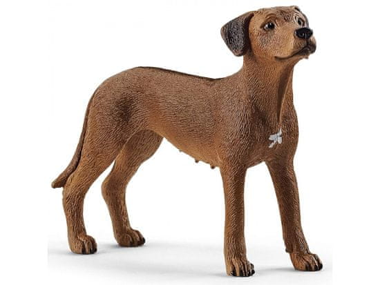 sarcia.eu Schleich Farm World - pes Rhodéský ridgeback, figurka pro děti 3+