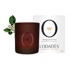 L'Odaites svíčka s vůní neroli, 200 g