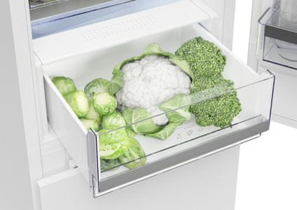 Szabadon álló hűtőszekrény Gorenje R49DPW