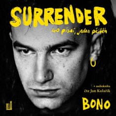 Bono: Surrender: 40 písní, jeden příběh - CDmp3