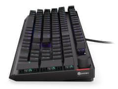 Endorfy herní klávesnice Thock Blue / USB / blue sw. / drátová / mech. / US / / PBT double-shot keycaps / černá RGB