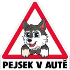 AUTOSAMOLEPKY.cz Samolepka Barevný pes v autě 003 10 cm