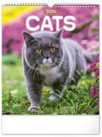 Nástěnný kalendář kočky