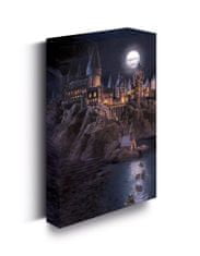 Epee Harry Potter Obraz LED svítící 30x40 cm - Bradavice hrad