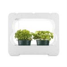Xavax pěstovací stanice s LED světlem, na bylinky/ rostliny, pro 2-3 nádoby pr. 10 cm, plné spektrum