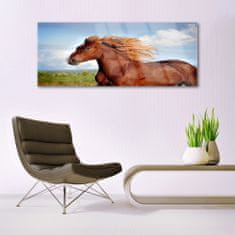 tulup.cz akrylový obraz Kůň Zvířata 125x50 cm 4 Přívěsky