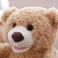 JOJOY® Interaktivní hračka medvídek | BARNIE