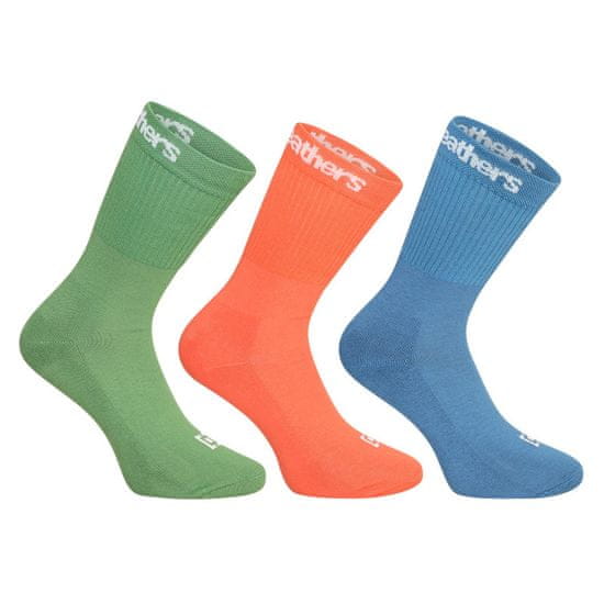 Horsefeathers 3PACK ponožky vícebarevné (AA547G)