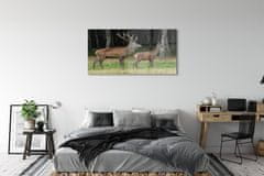 tulup.cz akrylový obraz jelen lesní 125x50 cm 2 Přívěsky