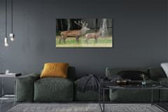 tulup.cz akrylový obraz jelen lesní 125x50 cm 2 Přívěsky