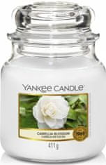 Yankee Candle Vonnásvíčka Classic ve skle střední Camellia Blossom