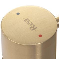 REA Umyvadlová baterie vysoká tess broušené zlato (REA-B5660)