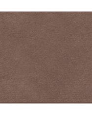 Betap AKCE: 130x170 cm Metrážový koberec Rambo - Bet 93 (Rozměr metrážního produktu Bez obšití)