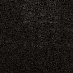 Greatstore Koberec HUARTE krátký vlas měkký a pratelný černý 80x200 cm