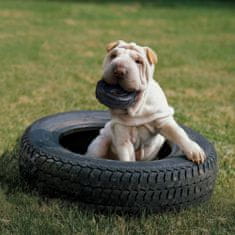 KONG Hračka pro psy KONG Extreme Tyres S