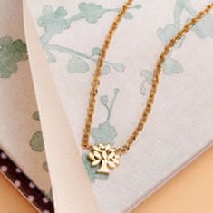 La Petite Story Elegantní pozlacený náhrdelník s krystalem Family LPS10ASF05