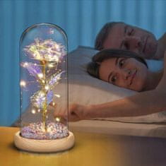 TopKing Věčná růže ve skle pod LED podsvícením