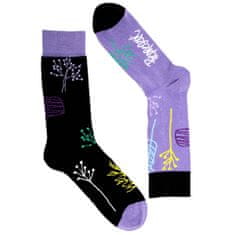 Represent Represent 0658 veselé ponožky herbs Barva: fialová, Velikost: S