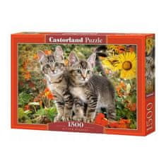 Castorland Puzzle Kočičí kámoši, 1500 dílků