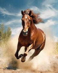 ZUTY Obrazy na stěnu - Kůň v plné rychlosti 40x50 cm bez rámu a bez vypnutí plátna