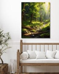 ZUTY Obrazy na stěnu - Sluneční svit v lese 1 40x50 cm bez rámu a bez vypnutí plátna