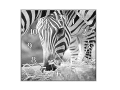 Glasdekor Nástěnné hodiny 30x30cm černobílá zebra - Materiál: plexi