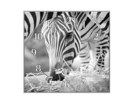 Glasdekor Nástěnné hodiny 30x30cm černobílá zebra