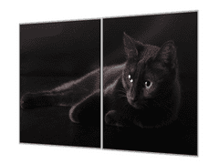 Glasdekor Ochranná deska černá kočka na černém podkladu - Ochranná deska: 55x90cm, Lepení na zeď: Bez lepení na zeď