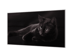 Glasdekor Ochranná deska černá kočka na černém podkladu - Ochranná deska: 55x90cm, Lepení na zeď: Bez lepení na zeď