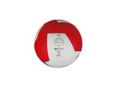 Gala BV5595S Pro-Line volejbalový míč velikost míče č. 5