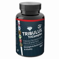 GF nutrition TRIBULUS TriComplex 120 kapslí 