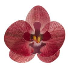 Dekora Květy z jedlého papíru orchidej růžová 10ks -