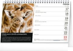 Grooters Stolní kalendář Za zvířaty do zoo – Miroslav Bobek 2024, 23,1 × 14,5 cm