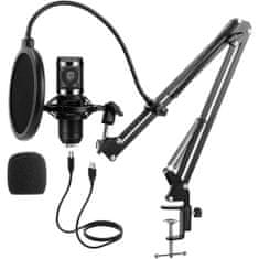 Timeless Tools Stolní studiový mikrofon s USB konektorem