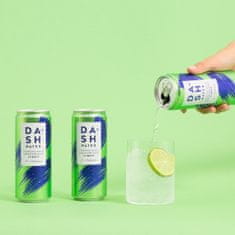 DASH Water Limetka 12 x 0,33L