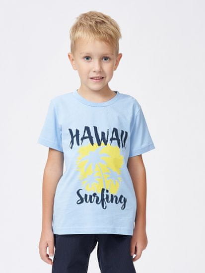 WINKIKI Chlapecké tričko Hawaii
