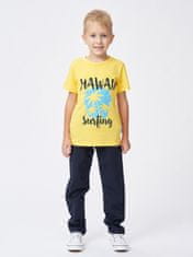 WINKIKI Chlapecké tričko Hawaii žlutá 104