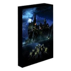 Epee Harry Potter obraz LED svítící 30x40 cm - Bradavice