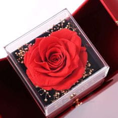 Lovilion Náhrdelník HEARTS s propletenými srdíčky a dárkovou krabičkou zdarma, Dárek k Valentýnu, Valentýn 2024, Dárek na Valentýna | HEARTS_APPLEROSE