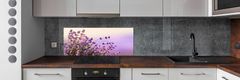 Wallmuralia Skleněný panel do kuchyně Levandule 125x50 cm