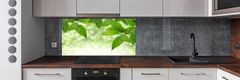 Wallmuralia Panel do kuchyně Zelené listí 140x70 cm
