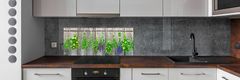 Wallmuralia Panel do kuchyně Bylina na provázku 125x50 cm