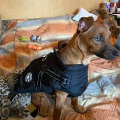Netscroll Odrazivý a voděodolný zimní kabát pro psa, postroj je reflexní, aby byl váš pes lépe viditelný, nastavitelné a upravitelné popruhy, DogJacket, S/M
