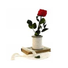 IDARY Stabilizovaná růže se stonkem 25cm - červená