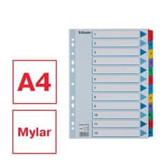 Esselte Zesílené rejstříky "Mylar", mix barev, karton, A4, 1-12 100162