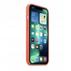 BB-Shop Pouzdro APPLE pro iPhone 13 Pro Magsafe Nectarine