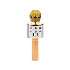 BB-Shop Bezdrátový reproduktor s mikrofonem pro karaoke IN0136