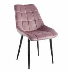 Intesi Polyamidová židle růžová černé nohy